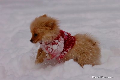 Dec18_07_251.jpg