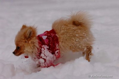 Dec18_07_252.jpg