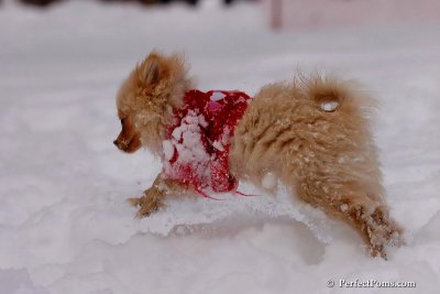 Dec18_07_253.jpg