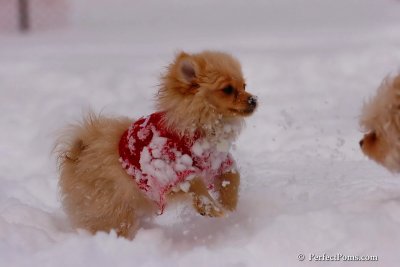 Dec18_07_254.jpg