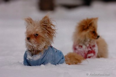 Dec18_07_258.JPG