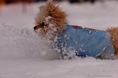 Dec18_07_263.jpg