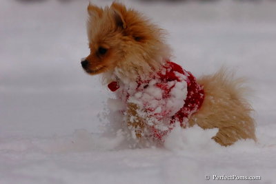 Dec18_07_266.jpg