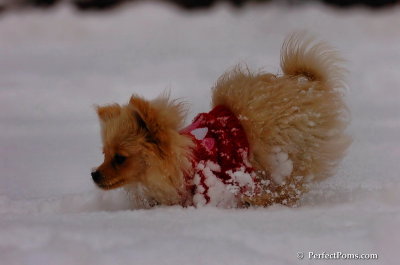 Dec18_07_268.JPG