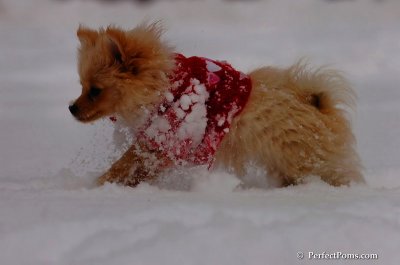 Dec18_07_270.JPG