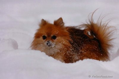 Dec18_07_271.JPG