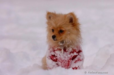 Dec18_07_275.jpg