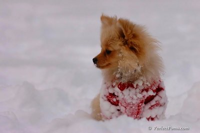 Dec18_07_276.jpg