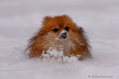 Dec18_07_278.jpg
