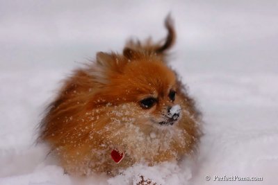 Dec18_07_280.jpg