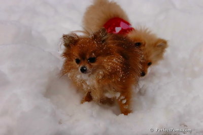 Dec18_07_282.jpg