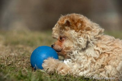 Mar24_08_616.jpg