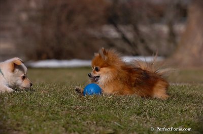 Mar24_08_854.JPG