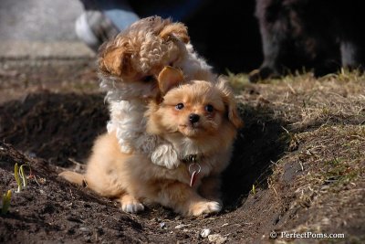 Mar28_08_450.jpg