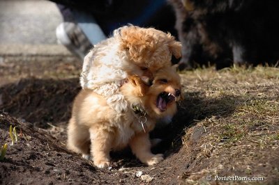 Mar28_08_458.jpg