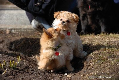 Mar28_08_471.jpg