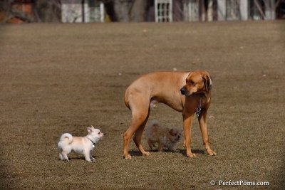Apr3_08_002.jpg