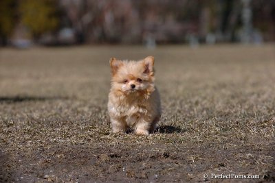 Apr3_08_004.jpg