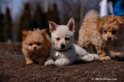 Apr3_08_005.JPG