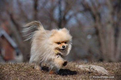 Apr3_08_006.jpg