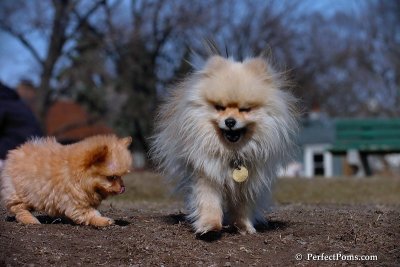 Apr3_08_009.jpg