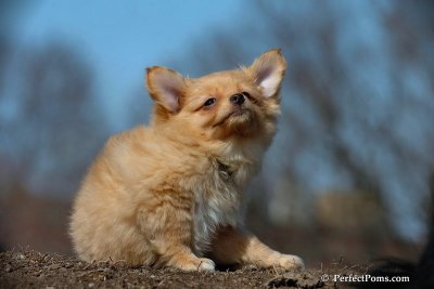 Apr3_08_031.jpg