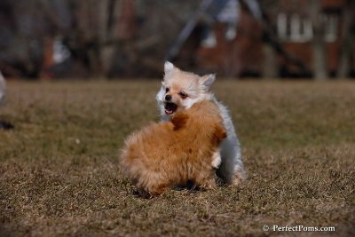 Apr3_08_038.jpg