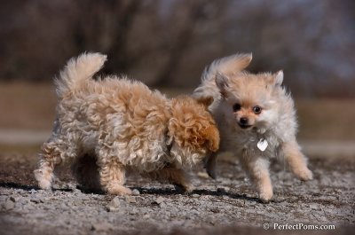 Apr3_08_050.JPG