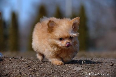 Apr3_08_060.jpg