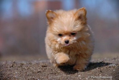 Apr3_08_061.jpg