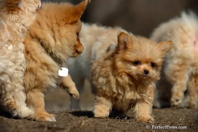 Apr3_08_077.jpg