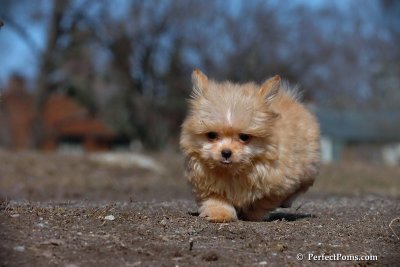 Apr3_08_087.jpg