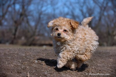 Apr3_08_088.JPG