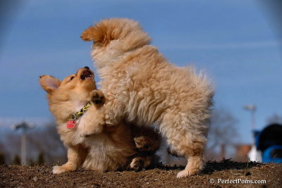 Apr3_08_110.jpg