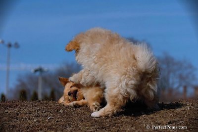 Apr3_08_111.jpg