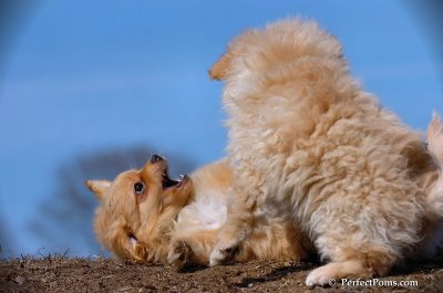 Apr3_08_112.JPG