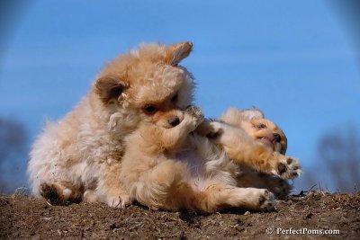 Apr3_08_115.jpg