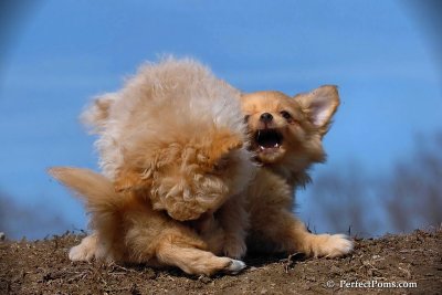 Apr3_08_117.jpg