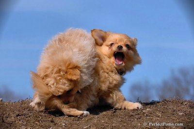 Apr3_08_118.jpg