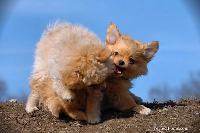 Apr3_08_119.jpg