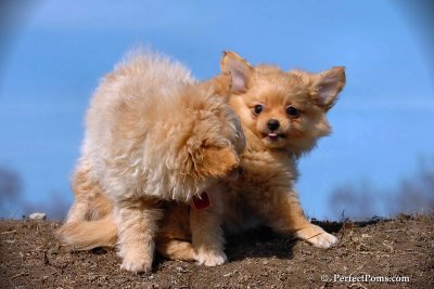 Apr3_08_120.jpg