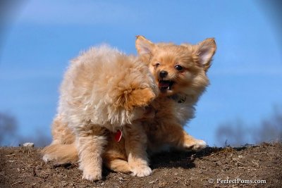 Apr3_08_121.jpg