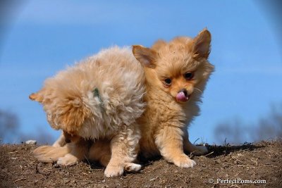 Apr3_08_122.jpg