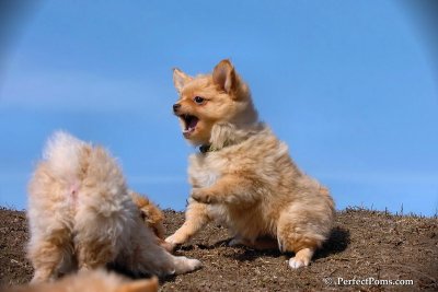 Apr3_08_128.jpg