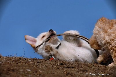 Apr3_08_135.jpg