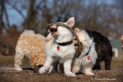 Apr3_08_143.jpg