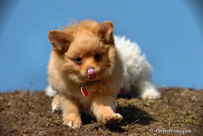 Apr3_08_168.jpg