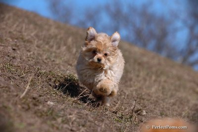 Apr3_08_173.jpg