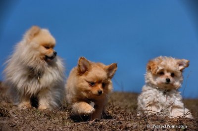 Apr3_08_189.JPG