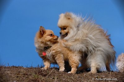 Apr3_08_196.JPG
